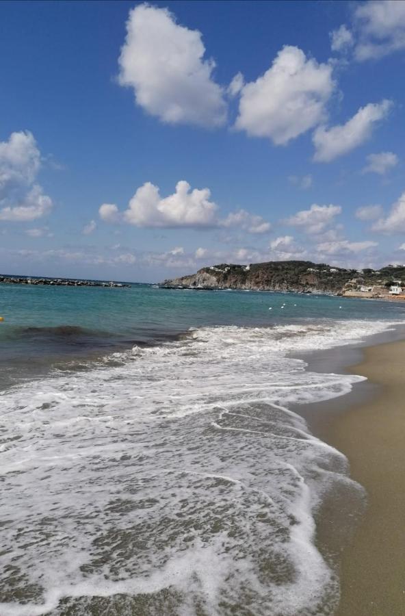 La Bicocca Di Annavi Bed and Breakfast Forio di Ischia Eksteriør billede