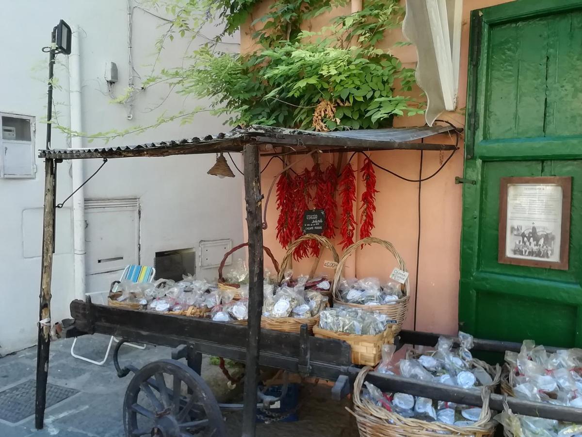 La Bicocca Di Annavi Bed and Breakfast Forio di Ischia Eksteriør billede