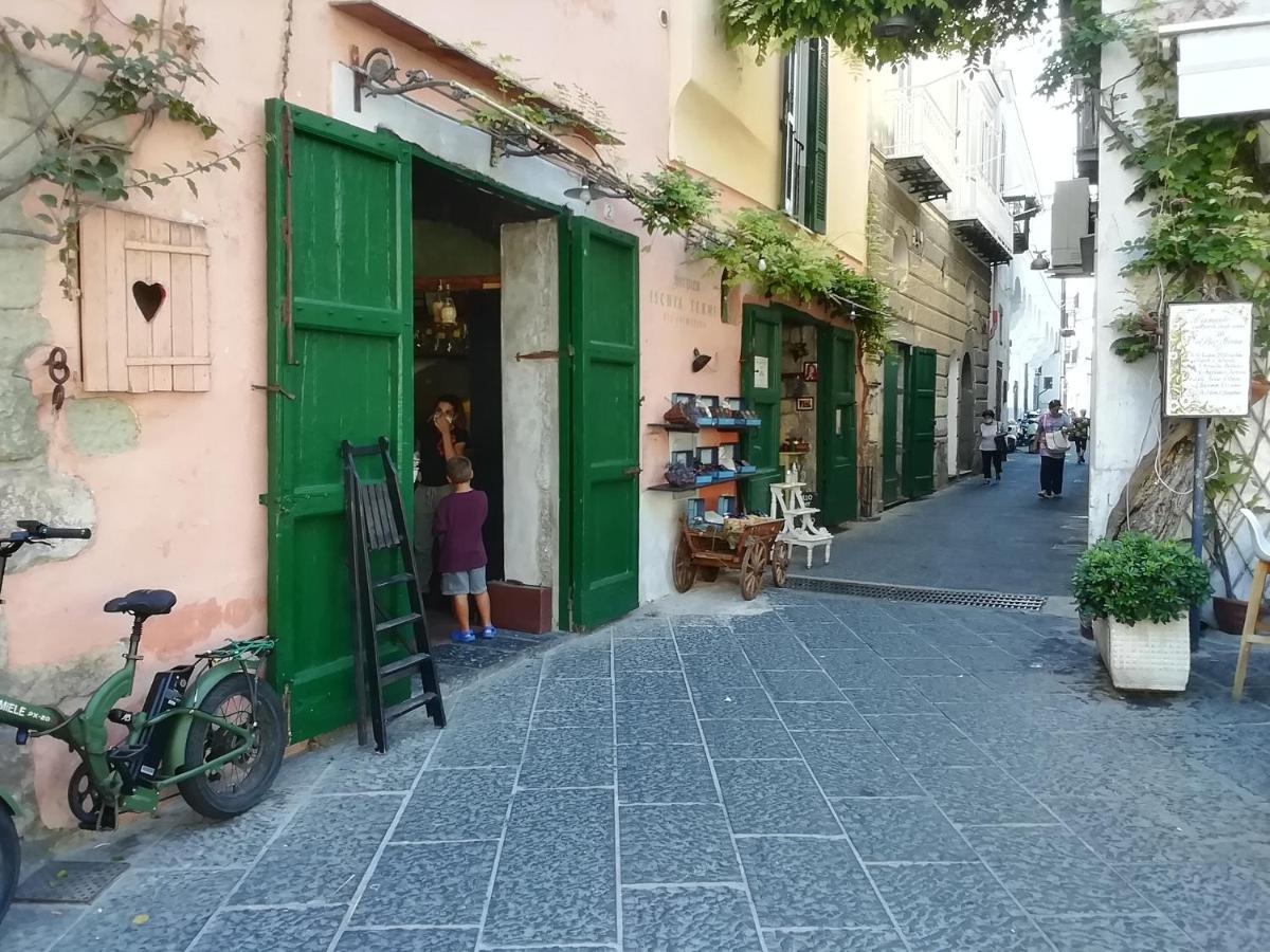 La Bicocca Di Annavi Bed and Breakfast Forio di Ischia Eksteriør billede