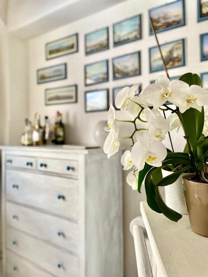 La Bicocca Di Annavi Bed and Breakfast Forio di Ischia Eksteriør billede