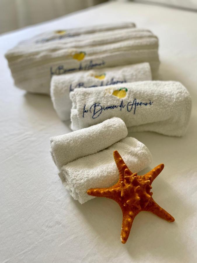 La Bicocca Di Annavi Bed and Breakfast Forio di Ischia Eksteriør billede