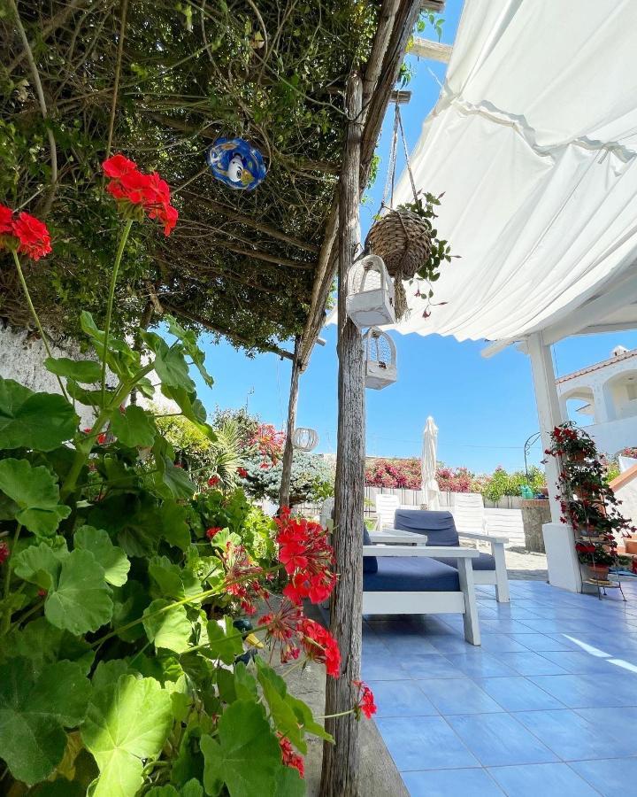 La Bicocca Di Annavi Bed and Breakfast Forio di Ischia Eksteriør billede