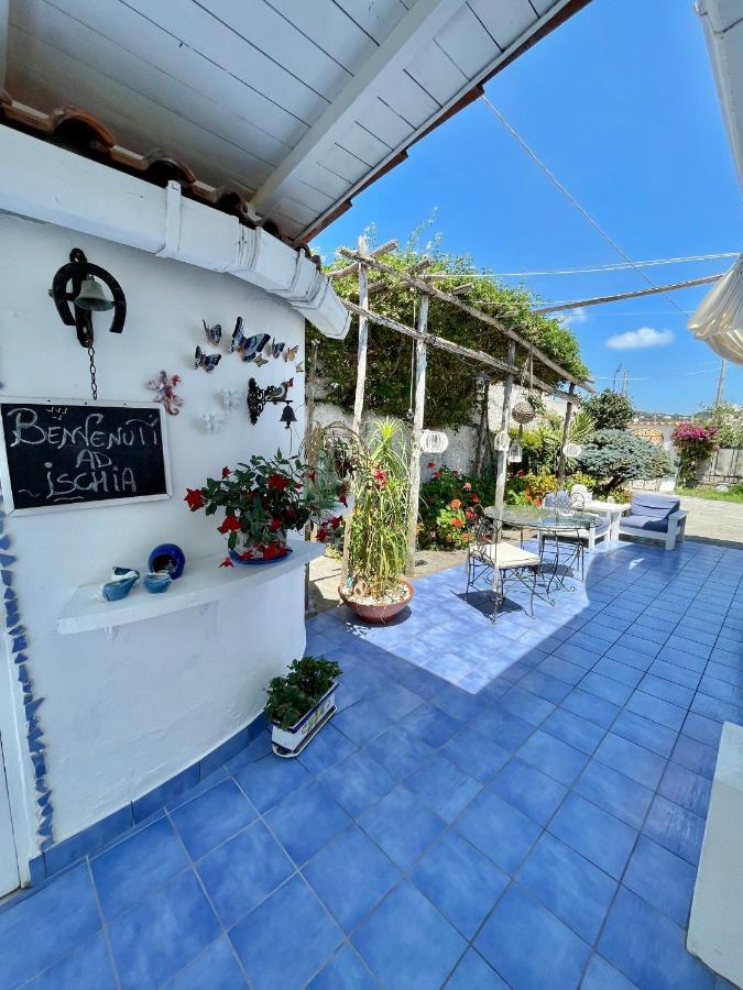 La Bicocca Di Annavi Bed and Breakfast Forio di Ischia Eksteriør billede