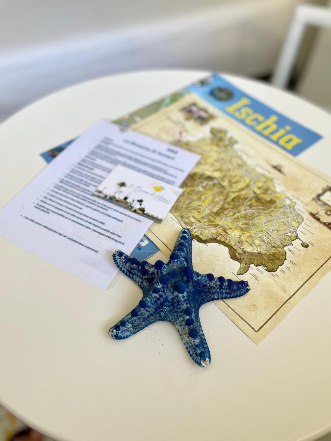 La Bicocca Di Annavi Bed and Breakfast Forio di Ischia Eksteriør billede