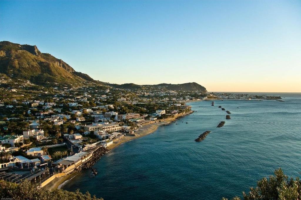 La Bicocca Di Annavi Bed and Breakfast Forio di Ischia Eksteriør billede